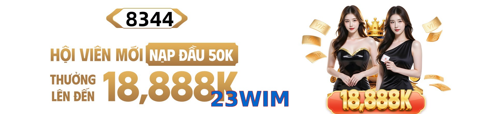 23WIM